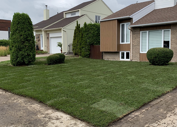 Terrassement et aménagement paysager Trois-Rivières
